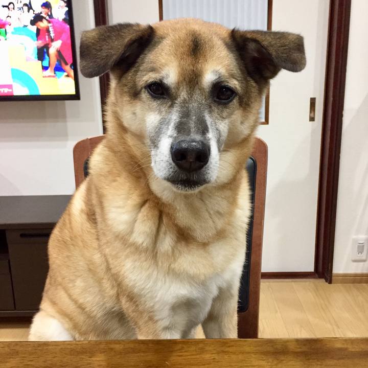 44a50158 4462 4a4e b139 1a167f83df54 1576505247649