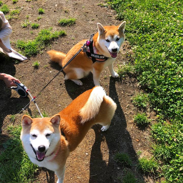 44a534b7 5428 4ee4 a2f5 4c6fe9afcfcb 1594351176377