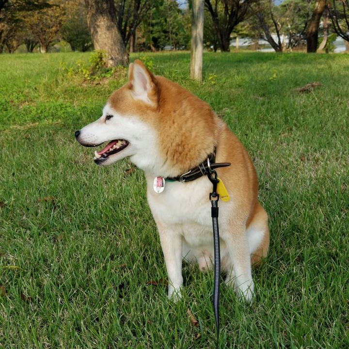 44a59423 5dc4 4b52 9b28 5488067bc7b1 1601452095828