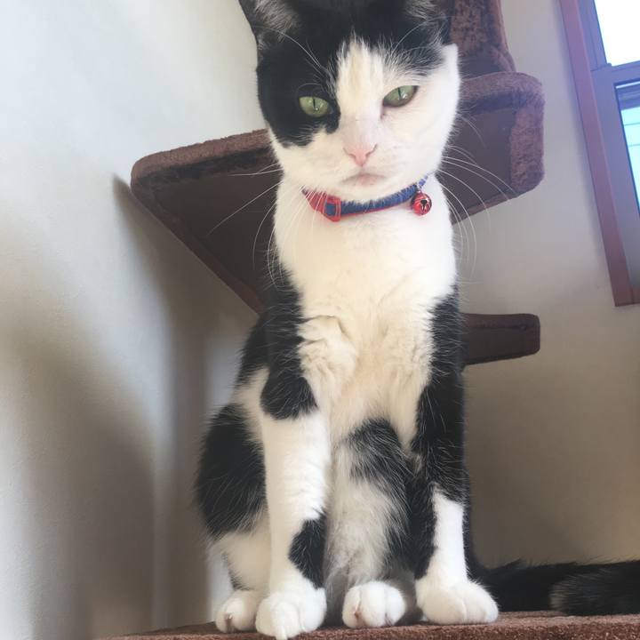 44a5a266 f6ad 4968 9dd9 792aee644620 1514515568816