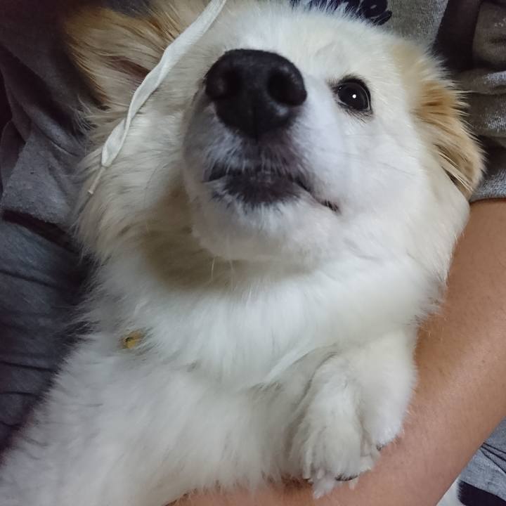 44a5d7fc a4d2 486e 962e 6d901def2baa 1529477366414