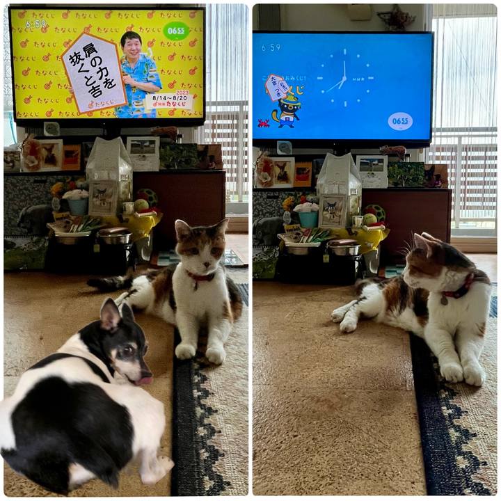 44a5f94b 7f37 4c9d 8e46 0a54386999a7 1691965049624