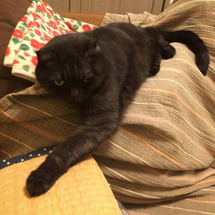 44a60749 8971 4f4b 834a 986be6bca5eb 1540747269133