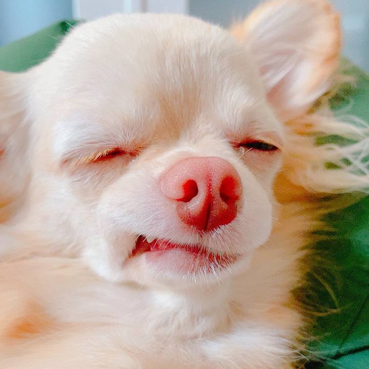 44a607ba dec1 423d 9f14 7989aec8bf41 1626330945585