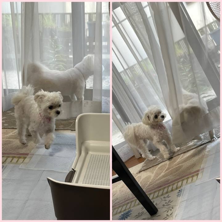 44a618a7 da9d 45dd 8541 b9233aa69dcc 1720082196894