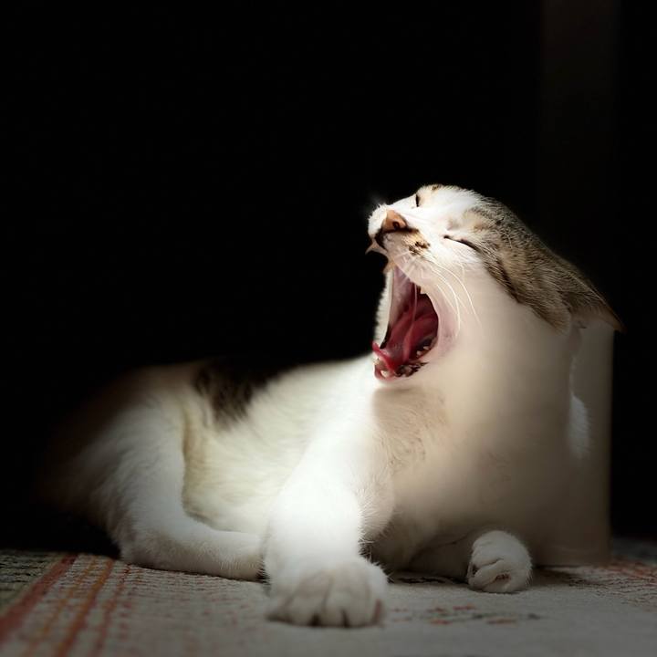 44a625ce eebd 4cf8 af8b 80aec4391a15 1767094276208