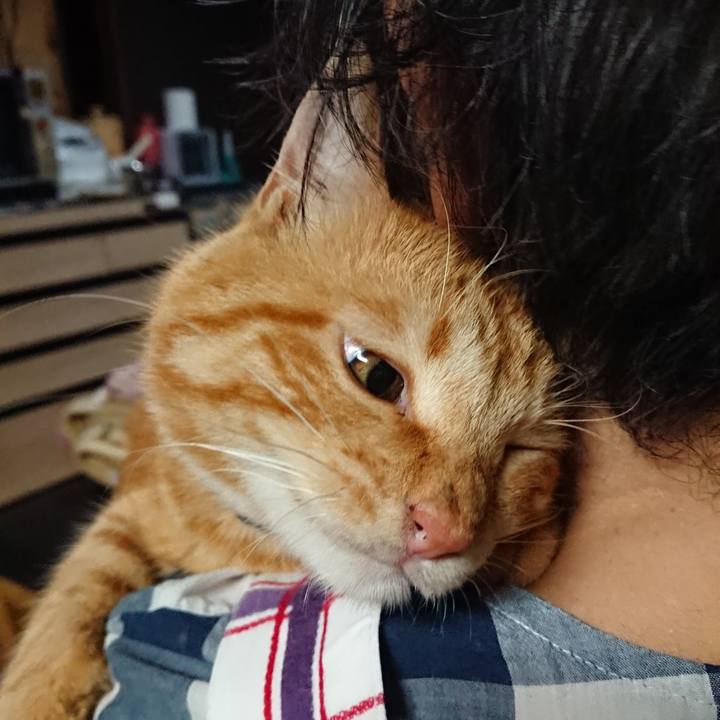 44a6604f ef00 4993 b347 117551c5c4d6 1657626675939