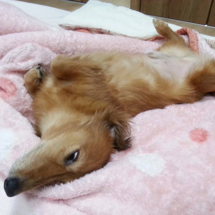 44a66497 368c 4dad ae4a c756a97da296 1529678334143