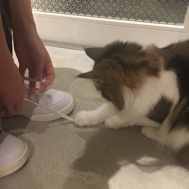 44a676d4 2941 4e4c b29b a36e5b299f5c 1534686034356