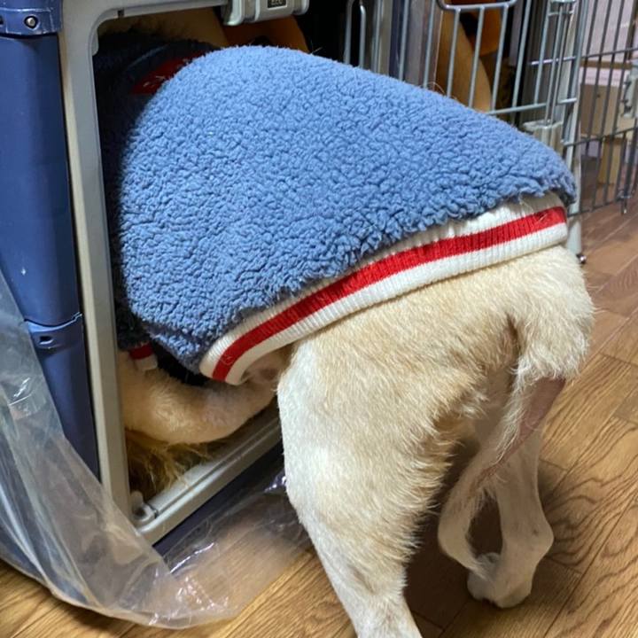 44a6775b 364d 4f23 8258 92704107d907 1609152941913