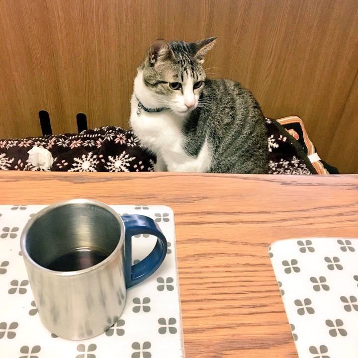 44a67e9b b2da 4868 8da4 91a55201b509 1508631072972