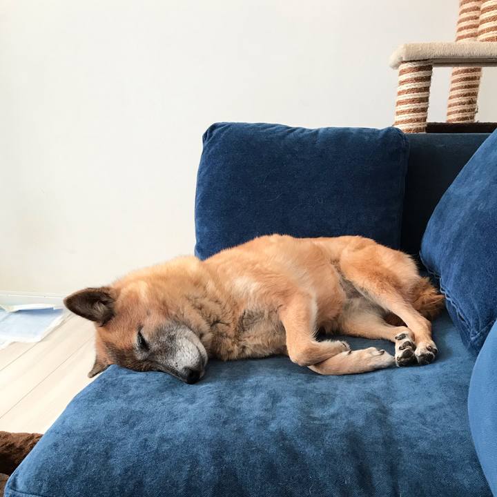 44a6a6d2 c791 452f 96cd efa31628f007 1575344984506