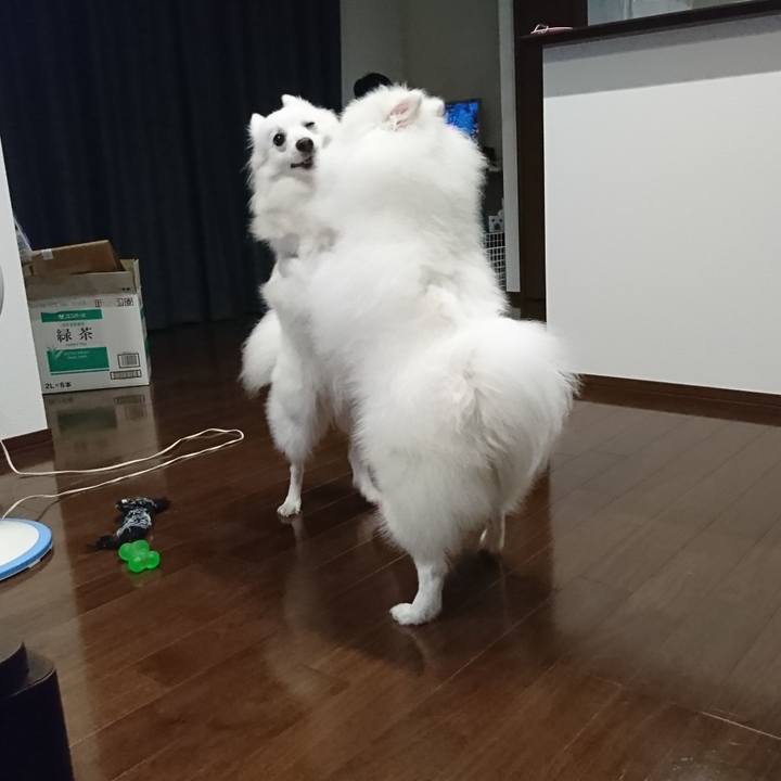 44a6a97b 5b3c 4646 8485 38df59ae8d68 1561471139004