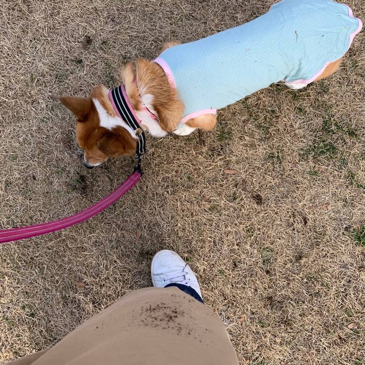 44a6e23d 5cc2 4078 945f 370423e00e0c 1579165473679