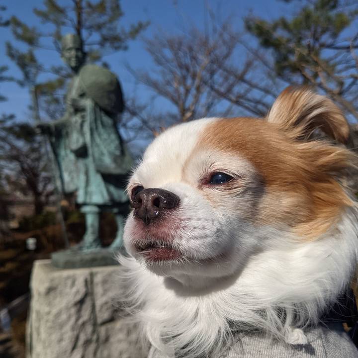 44a6efb5 c5bc 4f70 b31c a4b756f3a1a2 1614491982829