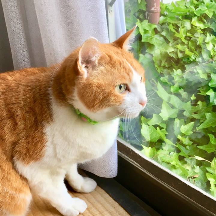 44a6f8c5 a6cb 4226 8945 a79470a6ebb5 1558477623606