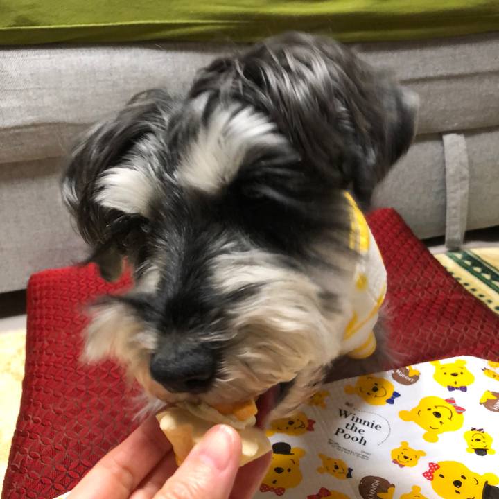 44a70aee ebff 49d2 af95 5f543d2e4689 1641389823372