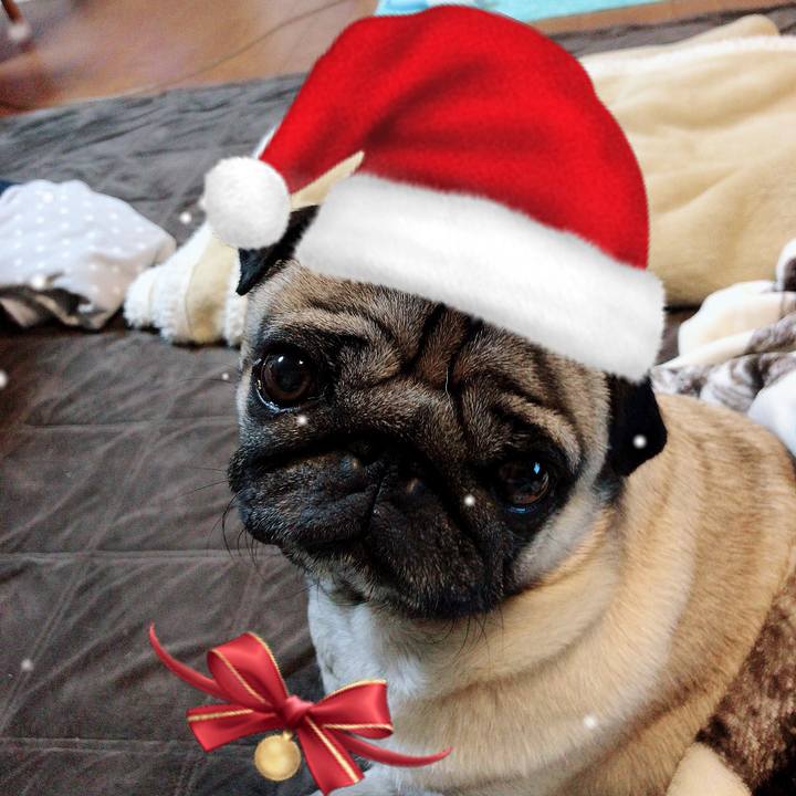 44a72a94 be1c 428e be5f 4046dc97d223 1545644695860