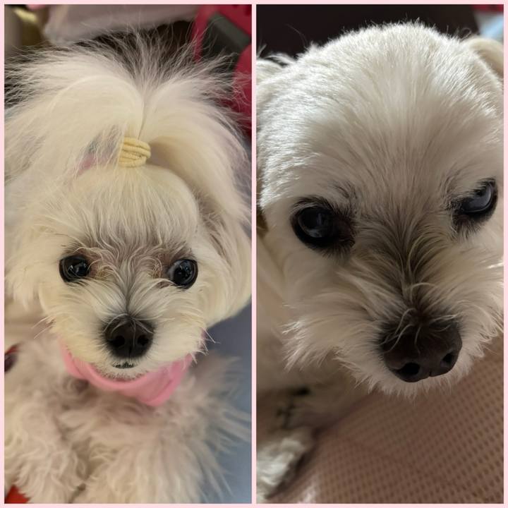 44a74dec 9e79 44fb 973b c33fa3afed18 1755512718059