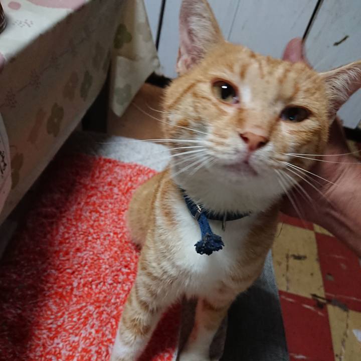 44a76a53 b255 4306 8466 c8ddf15b6175 1563484161266