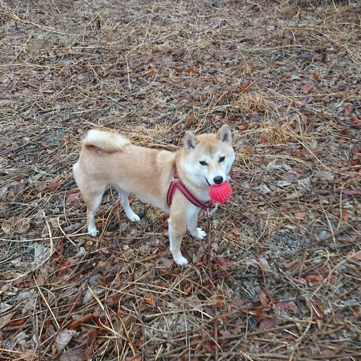 44a80c3d 4e95 48df a0c9 0804a248cfcf 1519432483801