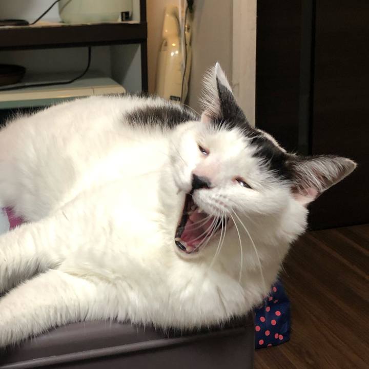 44a82108 595a 4430 8cc8 5cb5e75c6612 1597387387092