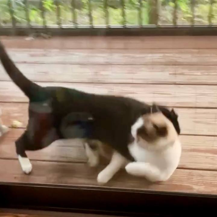 44a83b84 5b14 4ccd a56d 97ade45fc848 1730712722233