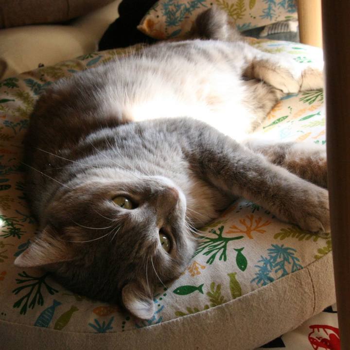 44a87f77 f7ce 4455 9b54 8532da2c4811 1564311303945