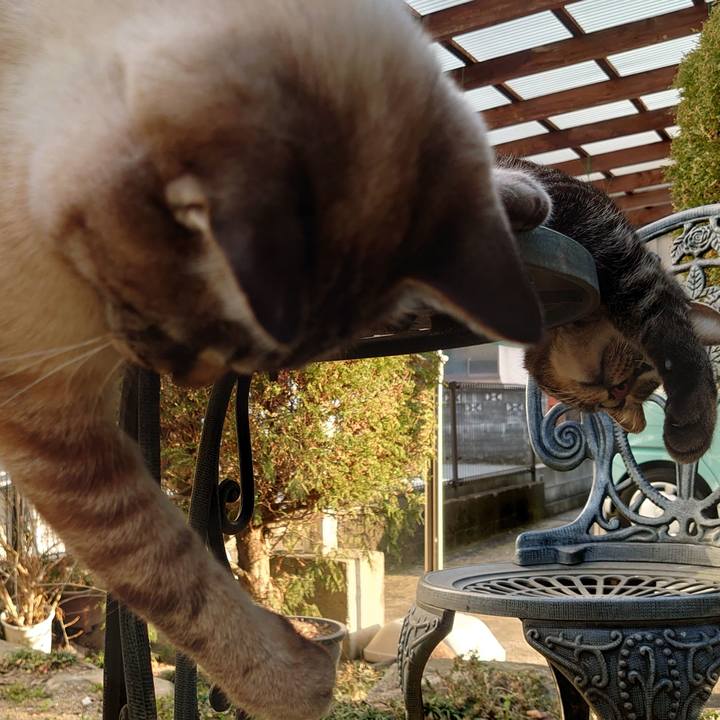 44a87ffc 49da 41fb 9b44 101fbca1af4f 1646985811168