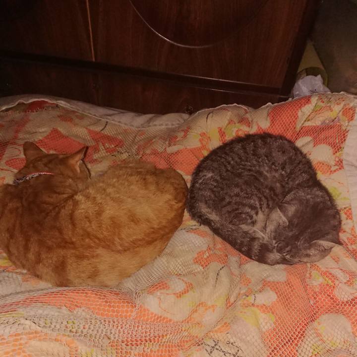 44a88940 2d4e 49ec 8e1e 03a21dd792c2 1572281318056