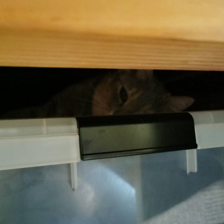 44a8d787 9150 48e5 8cc3 5eca666fa743 1630457061059