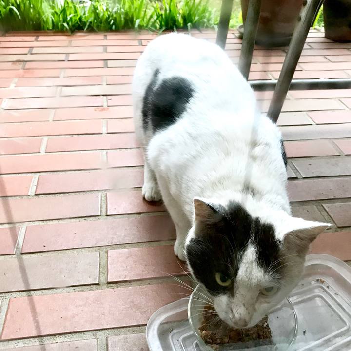 44a90223 8508 46bc 8643 b919d4e3b45c 1521609672547