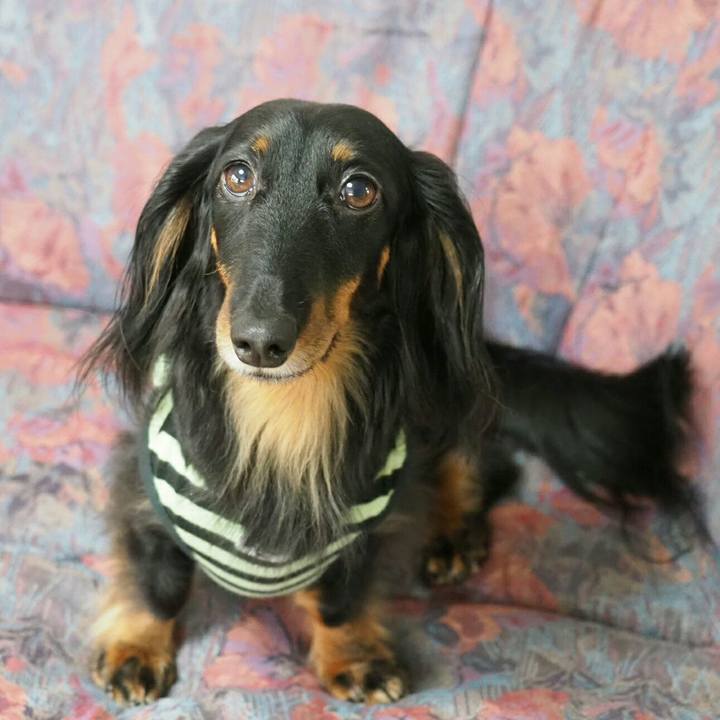 44a911b1 f8ec 44e3 95d4 20596fdddee3 1563243848613