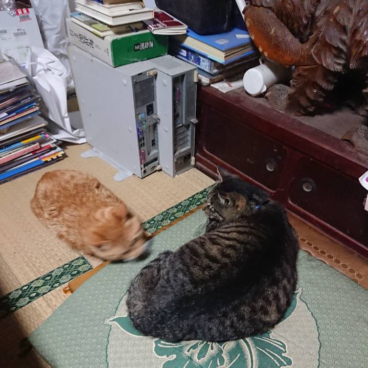 44a916a9 742d 44fe 810a 12291c12aae6 1655329853202