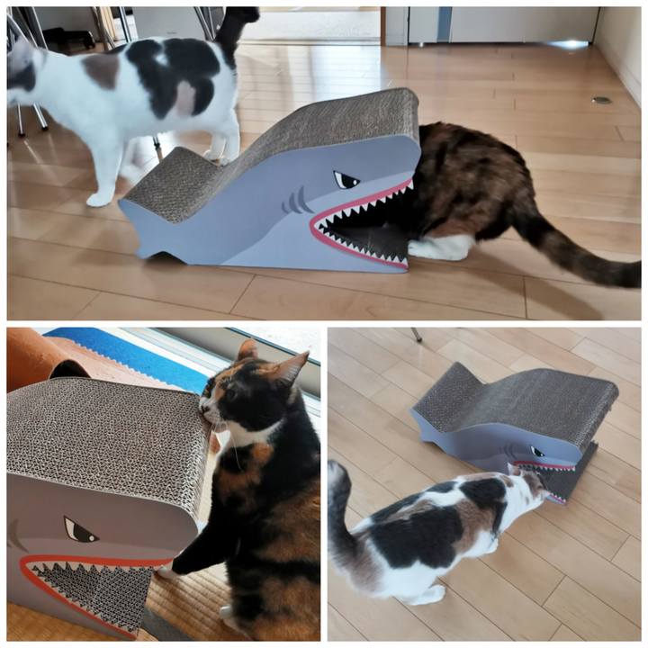 44a91826 98aa 41a9 b865 b1c7ec00e67e 1644121736054