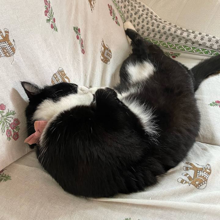 44a92394 9cf0 487d a5d7 e9786cd3942f 1749942056909