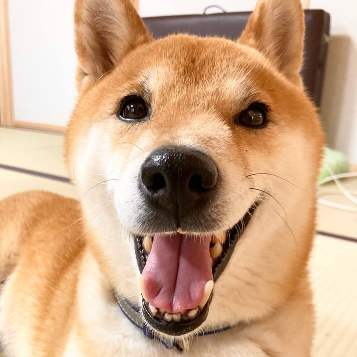 44a971ce 9af0 4e85 8c85 f474df4bf940 1682153965481