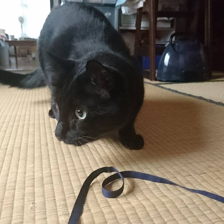 44a99485 610a 4f27 bedd 6046d248cb8c 1534464662043