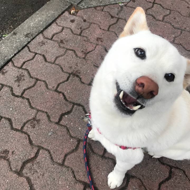 44a9a095 134a 4551 b8c6 03bebaba32e4 1520466989605