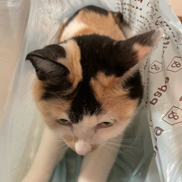 44a9dbd8 abdb 47fb bd8f 1abe1eea1291 1719317718126