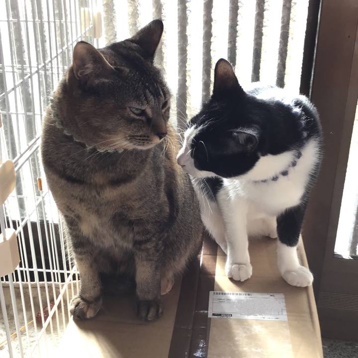 44a9e804 4663 4668 9dc5 4d7e1c7d70f2 1640919159110