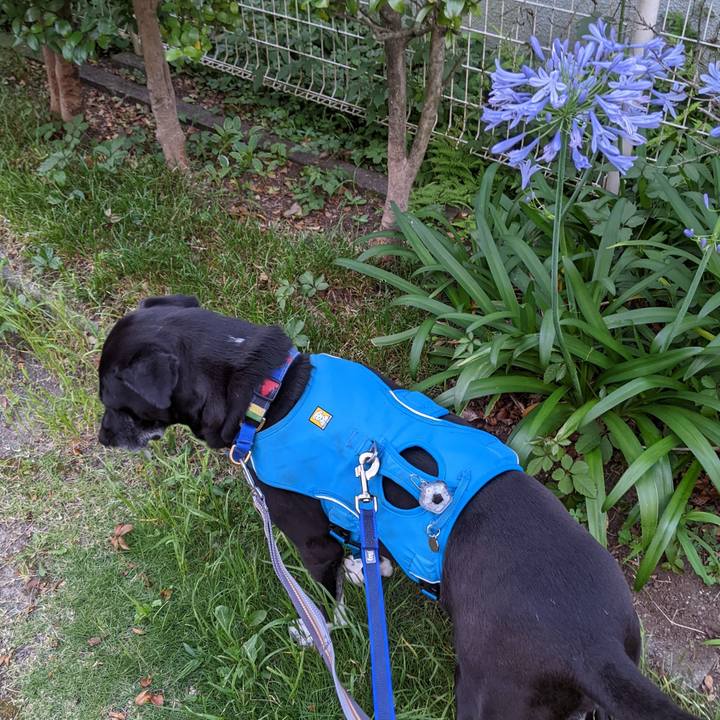 44a9ee79 ee6f 4202 9bc1 510a30d3b59a 1687778013971