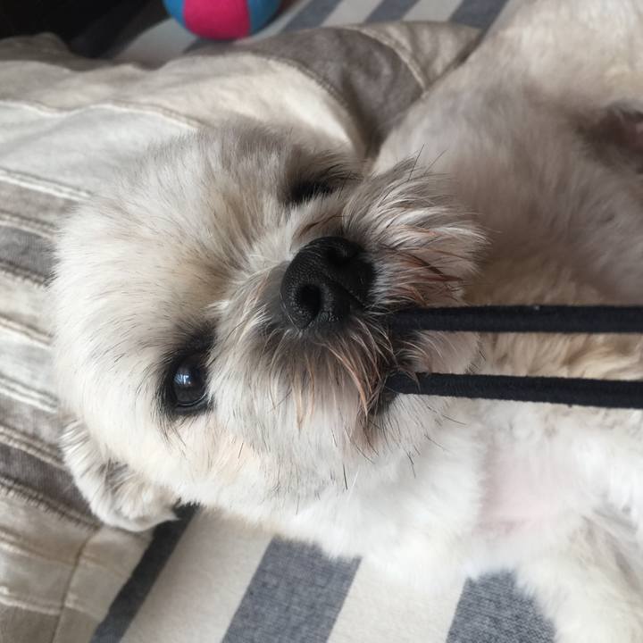 44aa0d85 f293 4b76 a9bf 246fff712e6d 1533423345931