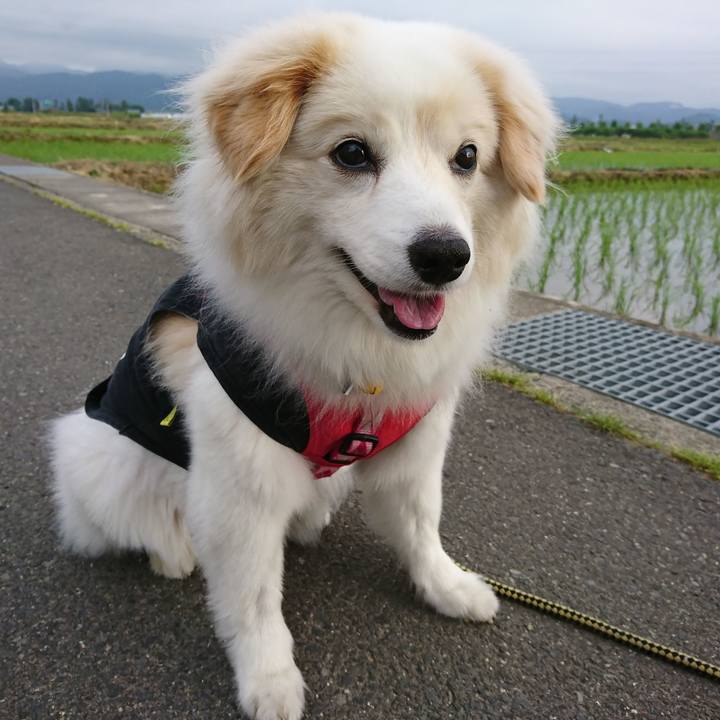 44aa1c69 42af 4431 ab26 0b04876c0148 1652309838909