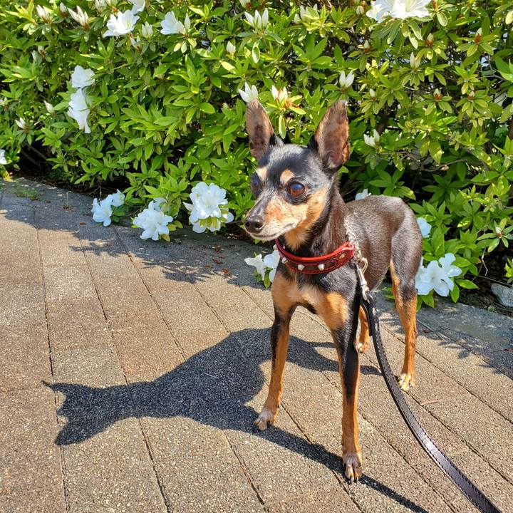 44aa546b 53ed 4b21 b836 5304c9b835ad 1740111011132