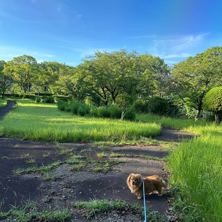 44aa7926 6d15 47e0 9425 22cab1feba46 1752876333285