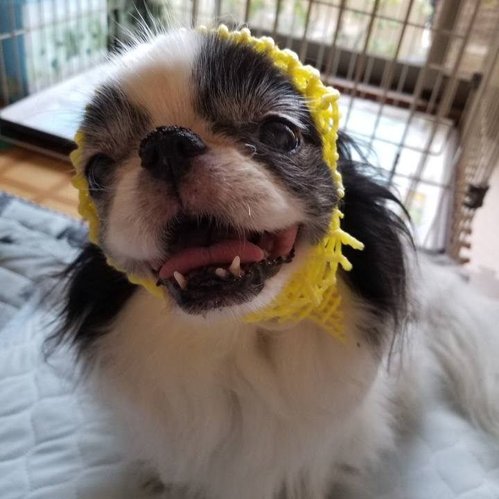 44aaf5a5 5f5f 4359 b0b9 f9c53184e14a 1535667247028