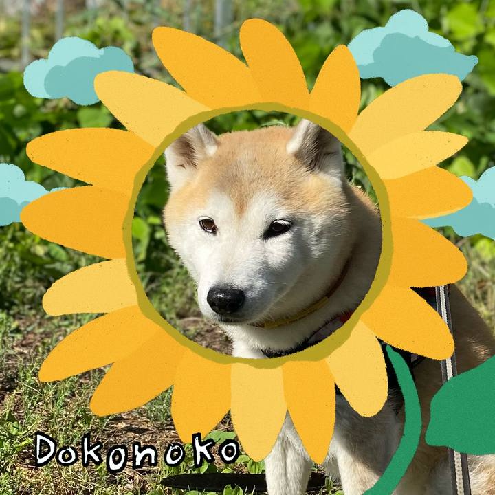 44ab002f 3cad 485d 9081 2c765da2b2ec 1723255010165