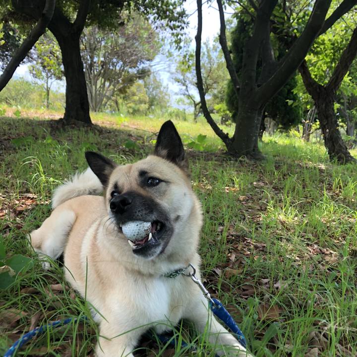 44ab10d8 a5dc 4b59 ba8b 89761a879c0a 1562481933298