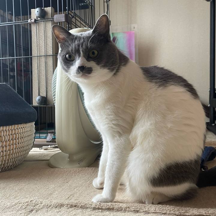 44ab1951 5155 47bf a3fb 331a10476abb 1748301447104